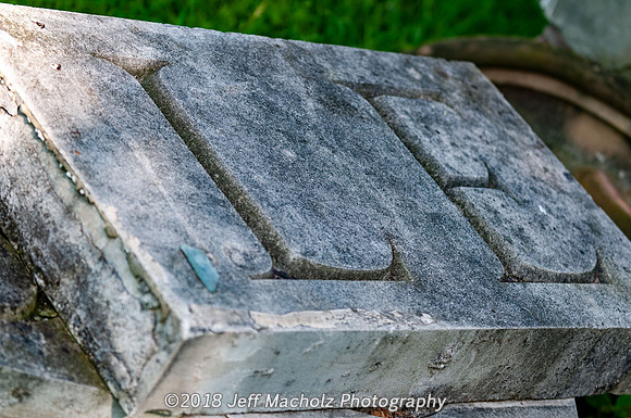 _DSC9698