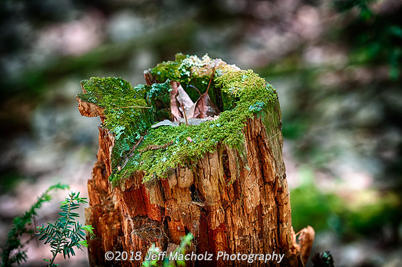 _DSC9388_HDR