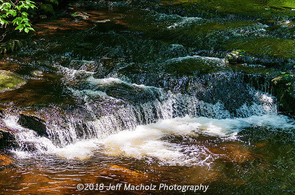 _DSC9784