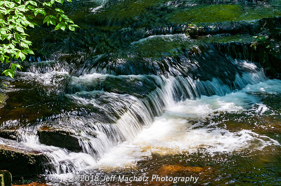 _DSC9795