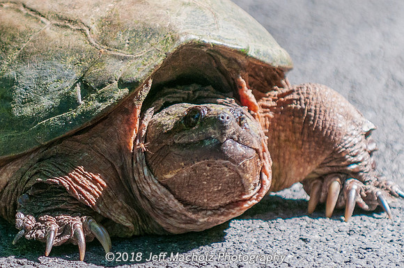 _DSC9503