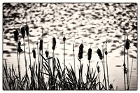 _DSC9358-Edit