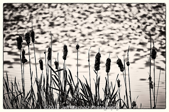 _DSC9358-Edit