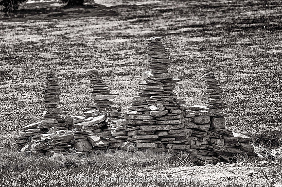 _DSC9487-Edit