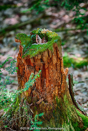 _DSC9391_HDR