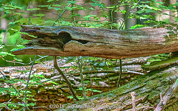 _DSC9379_HDR