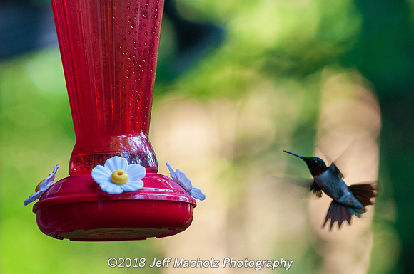 _DSC9711