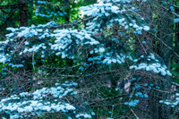 _DSC9366