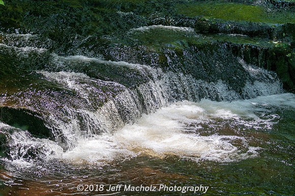 _DSC9820