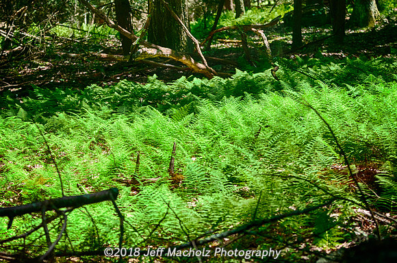 _DSC9385_HDR