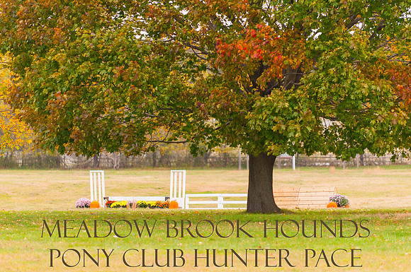 Meadowbrookhoundshunterpace
