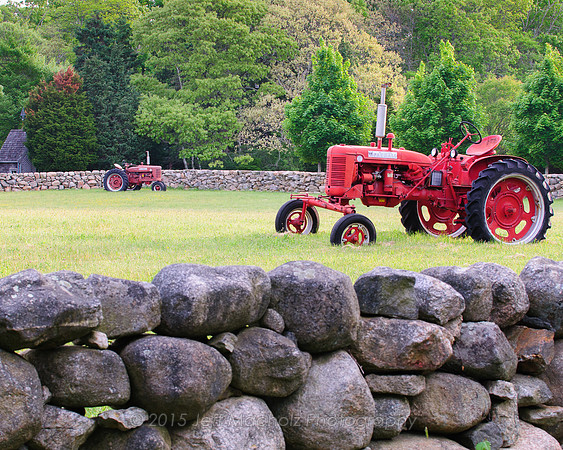 Farmer in the dell