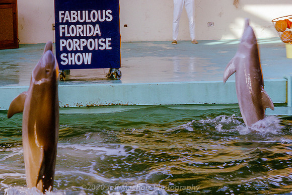 World's Fair Part II029