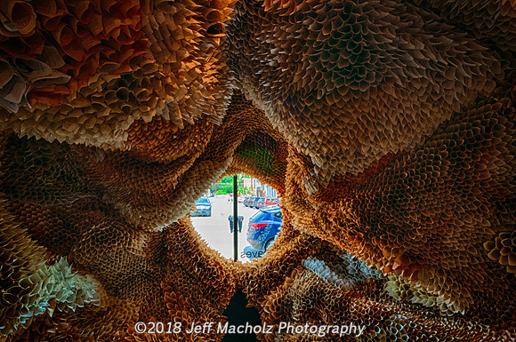 _DSC9553_HDR