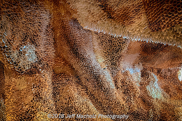 _DSC9576_HDR