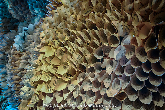 _DSC9634_HDR