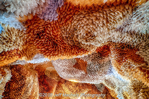 _DSC9631_HDR