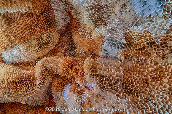 _DSC9609_HDR