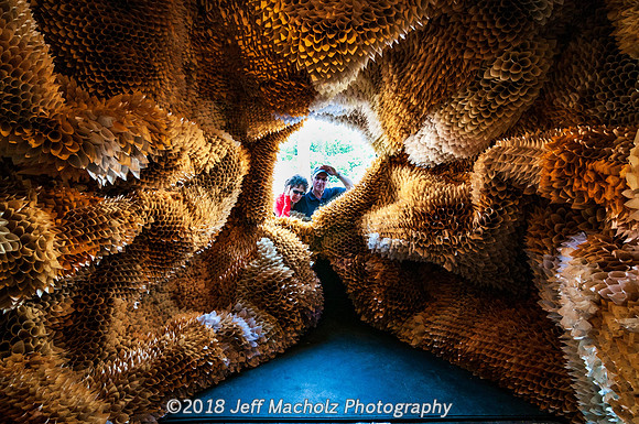 _DSC9587