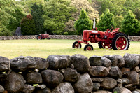 Down on the farm