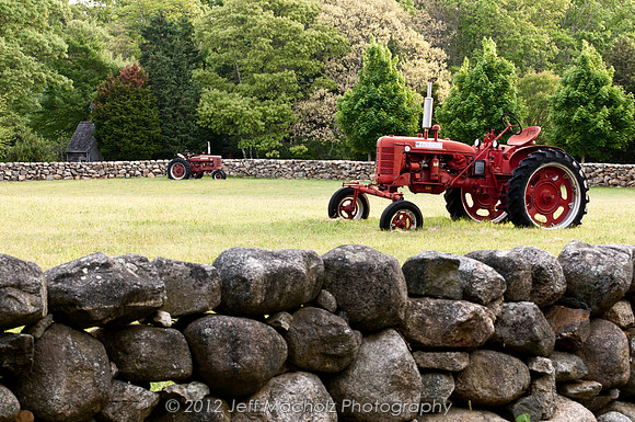 Down on the farm
