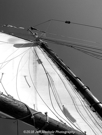 Sail