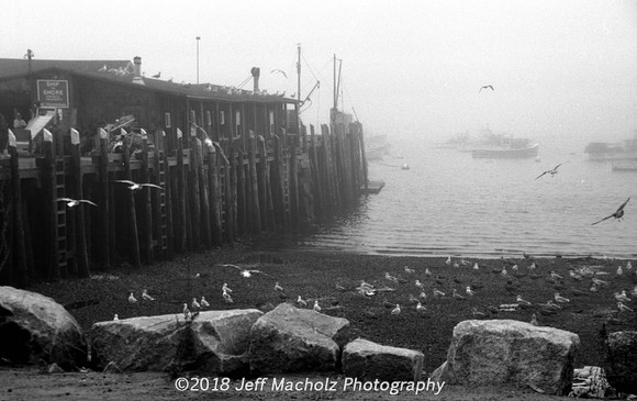 Dock on the Bay