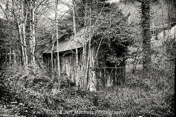 Abandoned Shed