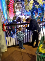 IMG_20171117_183639952_HDR-2