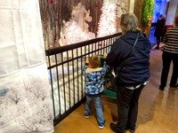 IMG_20171117_183225980-2