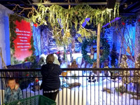 IMG_20171117_183624378-2